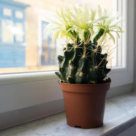 아파트호텔 Marina